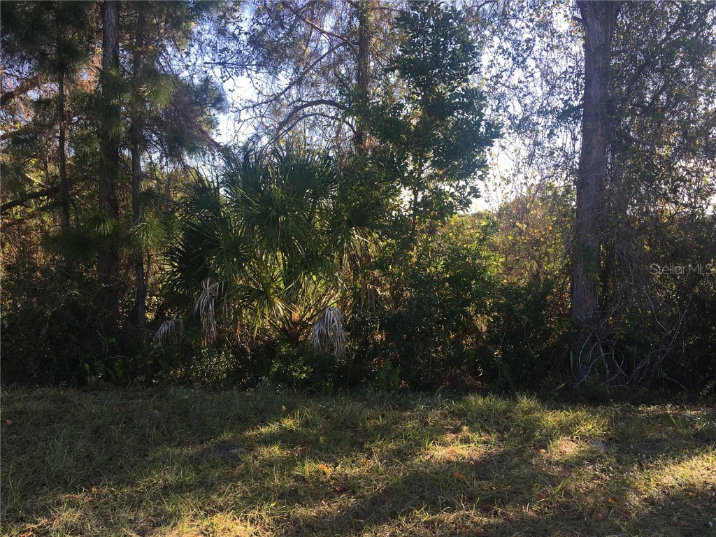 170 Tournament Road Rotonda West FL 33947 O6335107 image6