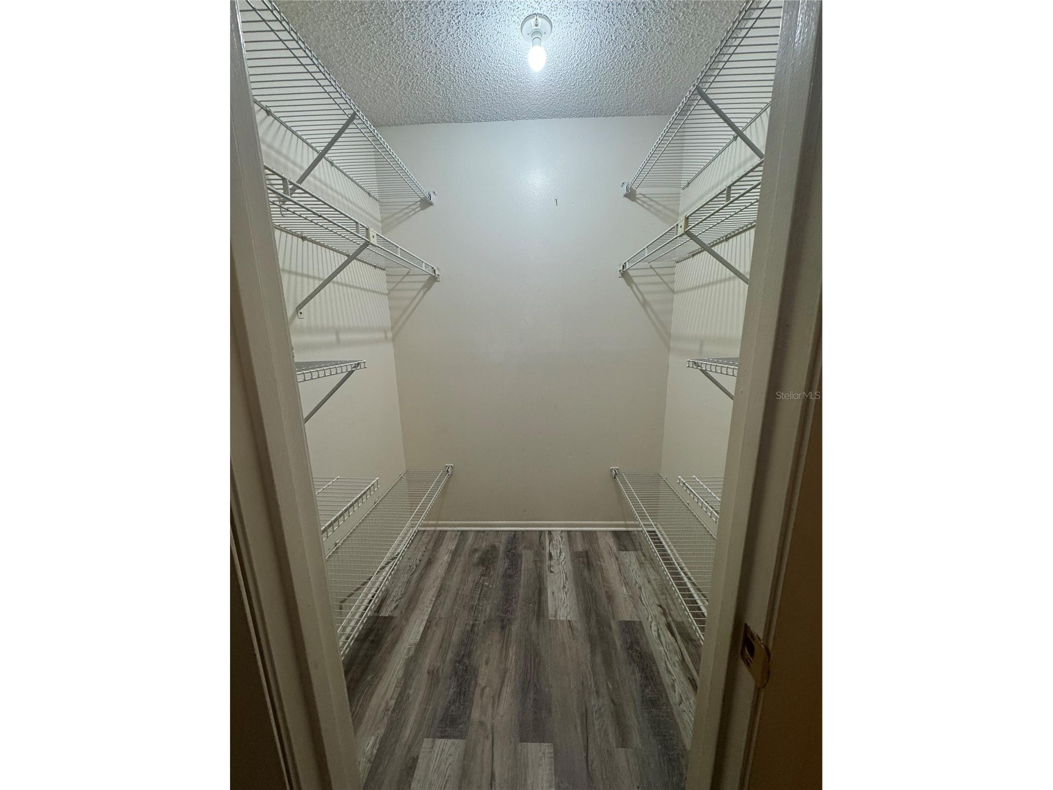170 Windtree Lane Winter Garden FL 34787 S5150050 image9