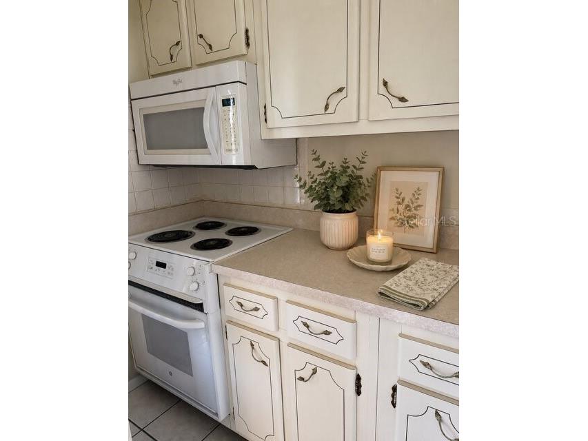 1700 6th Street NW #C21 Winter Haven FL 33881 L4962922 image7