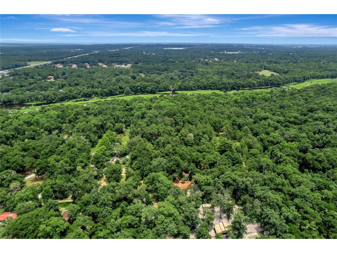 1700 Bronson Road Sorrento FL 32776 - WEKIVA RIVER V4929364 image1