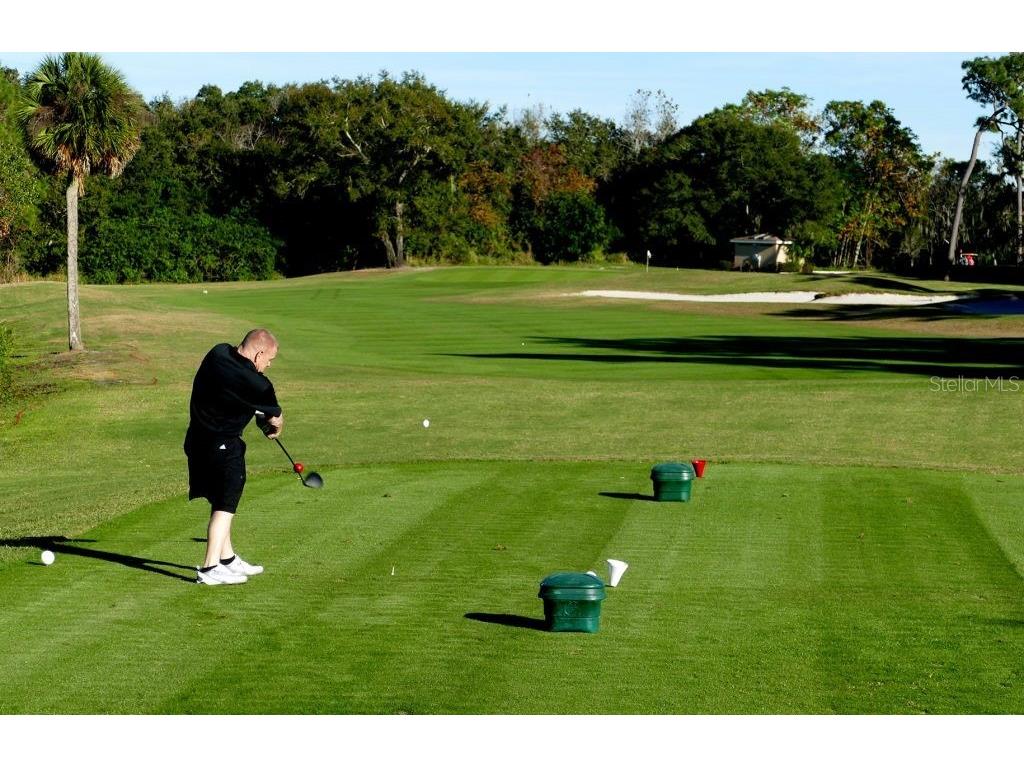 1700 Highland Club Court Palm Harbor FL 34684 TB8339288 image13