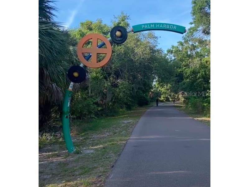 1700 Highland Club Court Palm Harbor FL 34684 TB8339288 image33