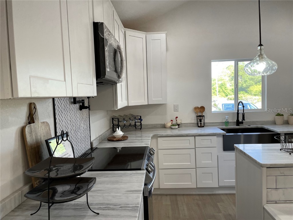 1700 Hollywood Avenue Eustis FL 32726 G5093827 image4