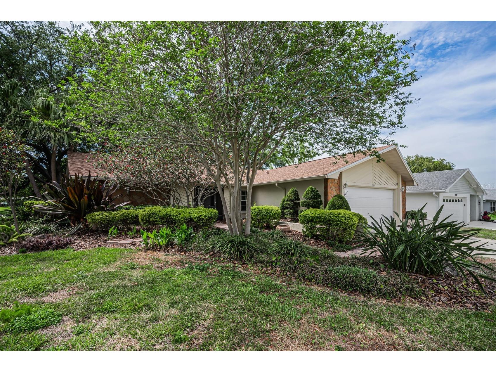 1700 Macdonnell Drive Palm Harbor FL 34684 TB8468857 image2