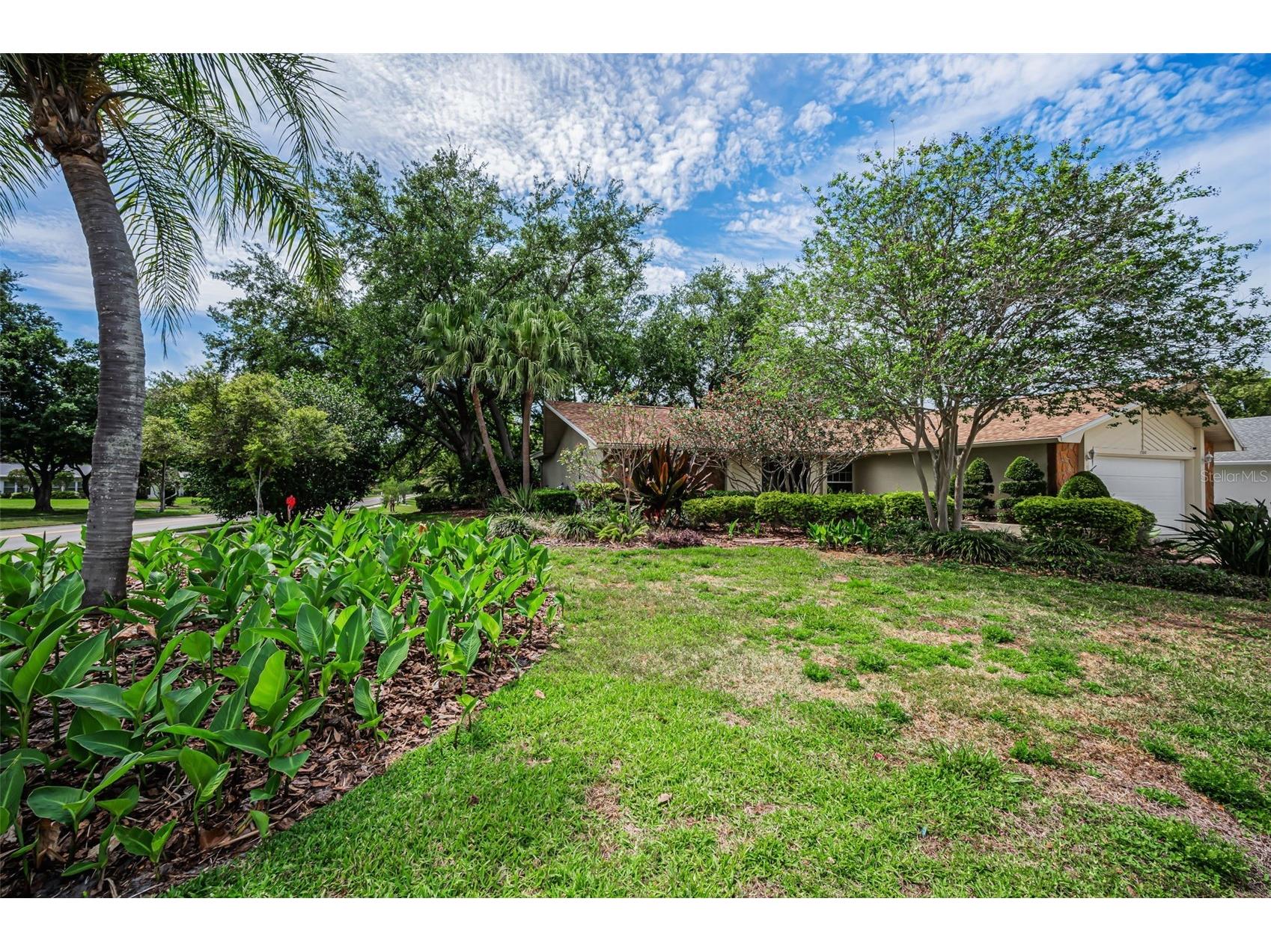 1700 Macdonnell Drive Palm Harbor FL 34684 TB8468857 image4