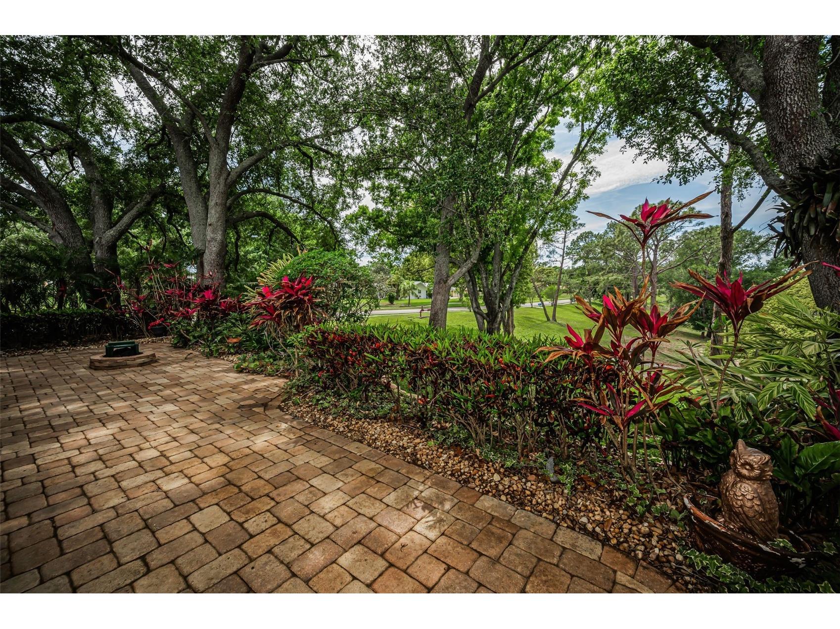 1700 Macdonnell Drive Palm Harbor FL 34684 TB8468857 image47