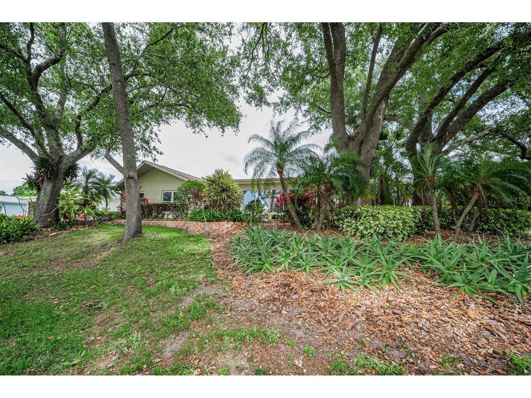 1700 Macdonnell Drive Palm Harbor FL 34684 TB8468857 image52