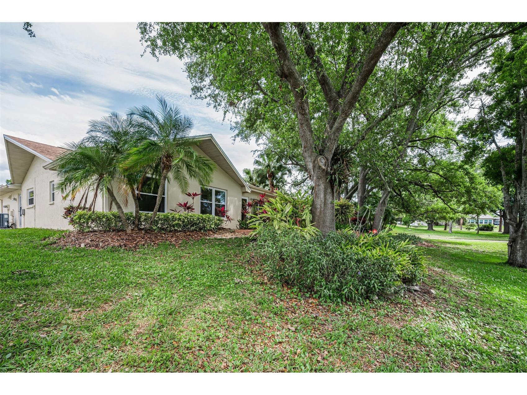 1700 Macdonnell Drive Palm Harbor FL 34684 TB8468857 image54
