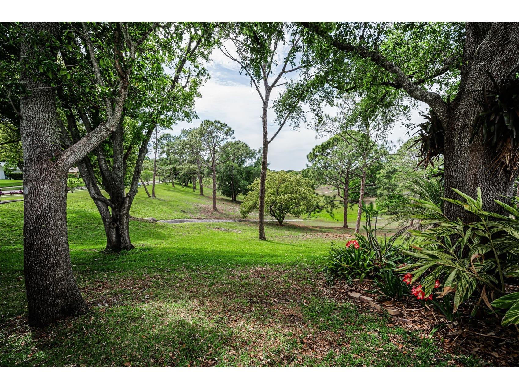 1700 Macdonnell Drive Palm Harbor FL 34684 TB8468857 image55