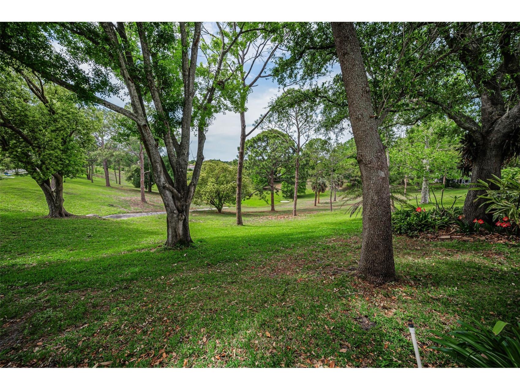 1700 Macdonnell Drive Palm Harbor FL 34684 TB8468857 image56