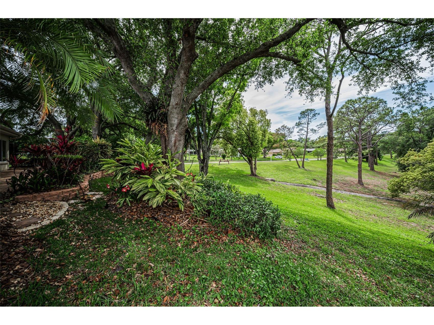1700 Macdonnell Drive Palm Harbor FL 34684 TB8468857 image57