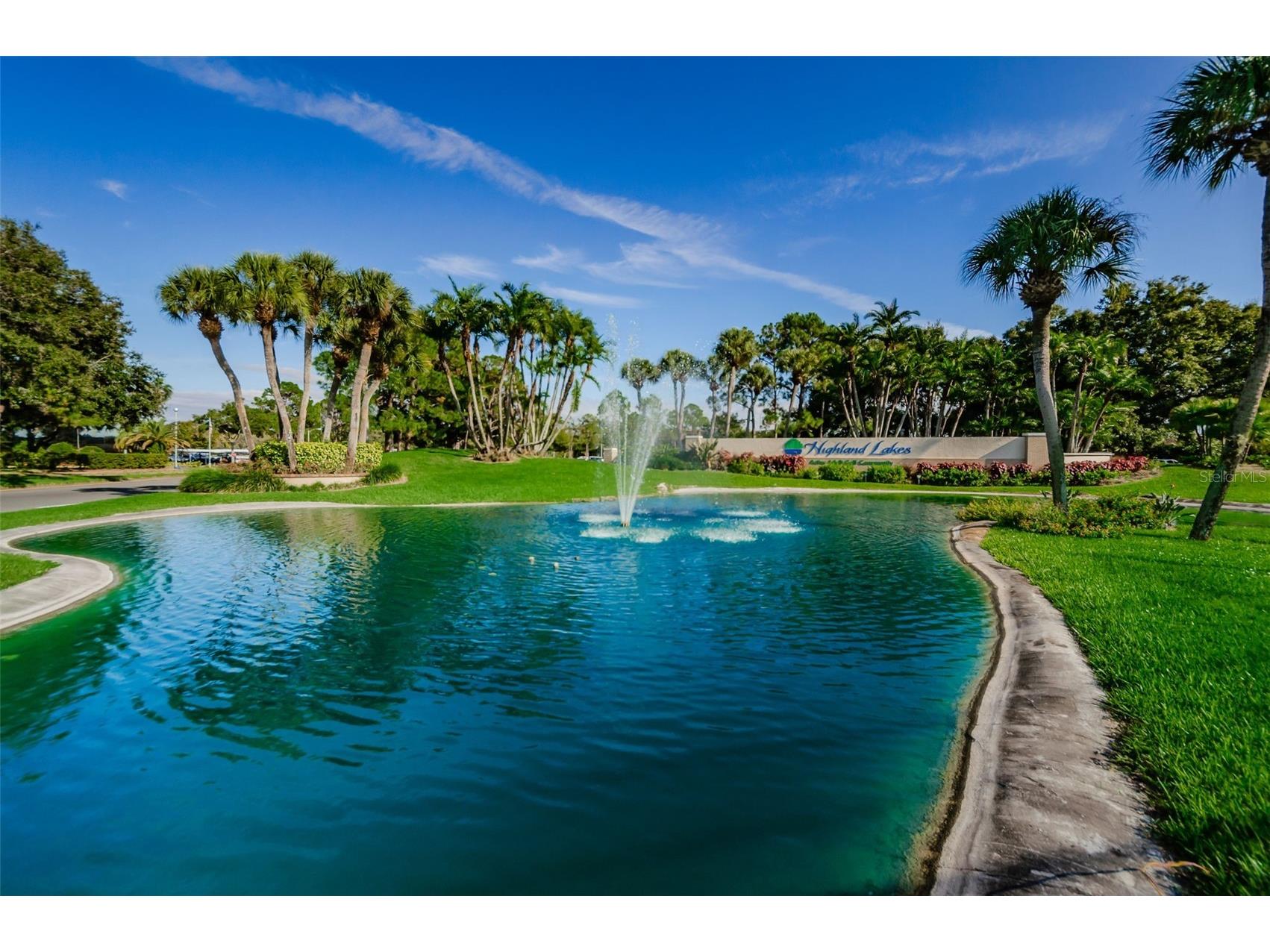 1700 Macdonnell Drive Palm Harbor FL 34684 TB8468857 image58