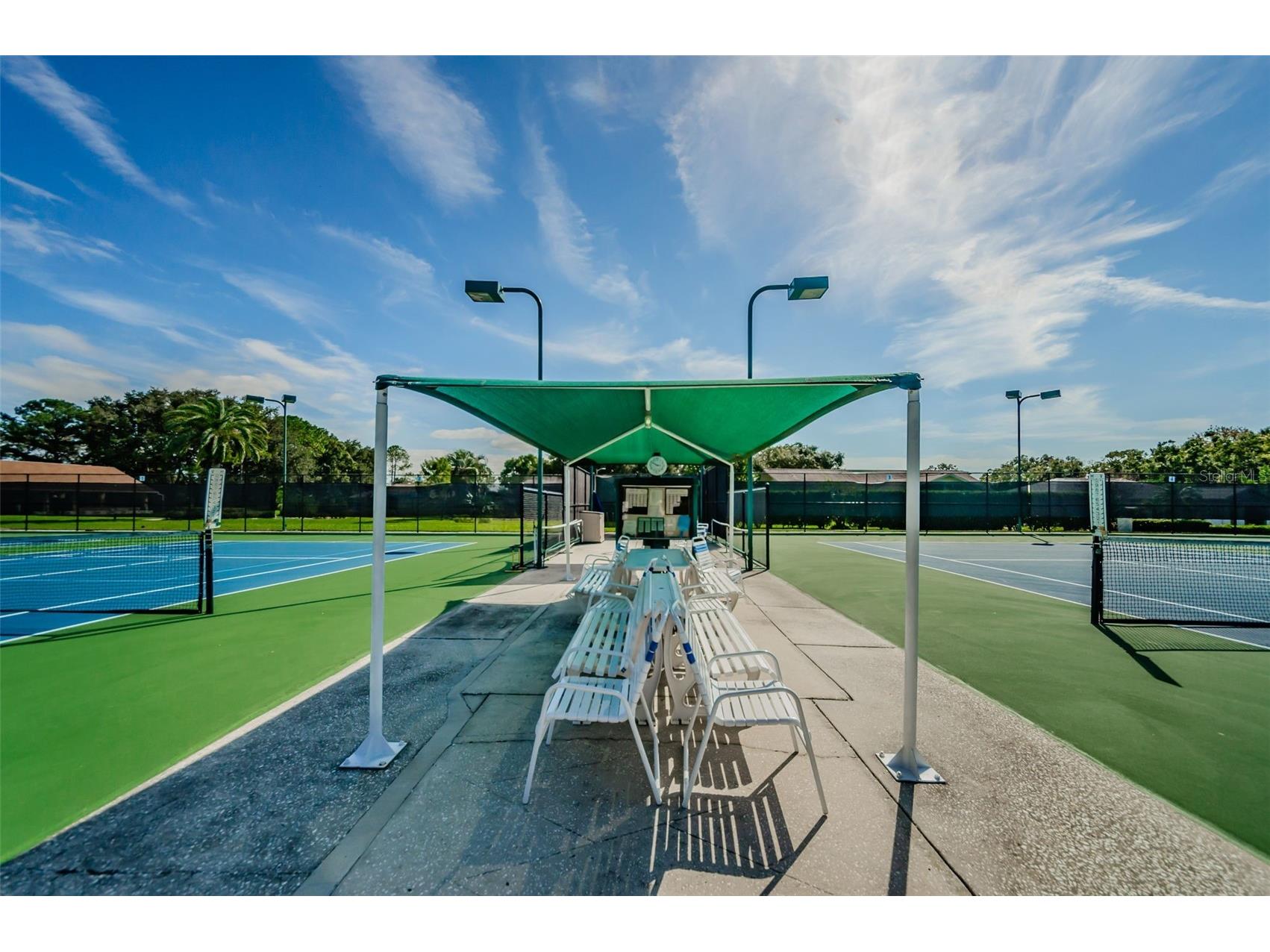 1700 Macdonnell Drive Palm Harbor FL 34684 TB8468857 image65