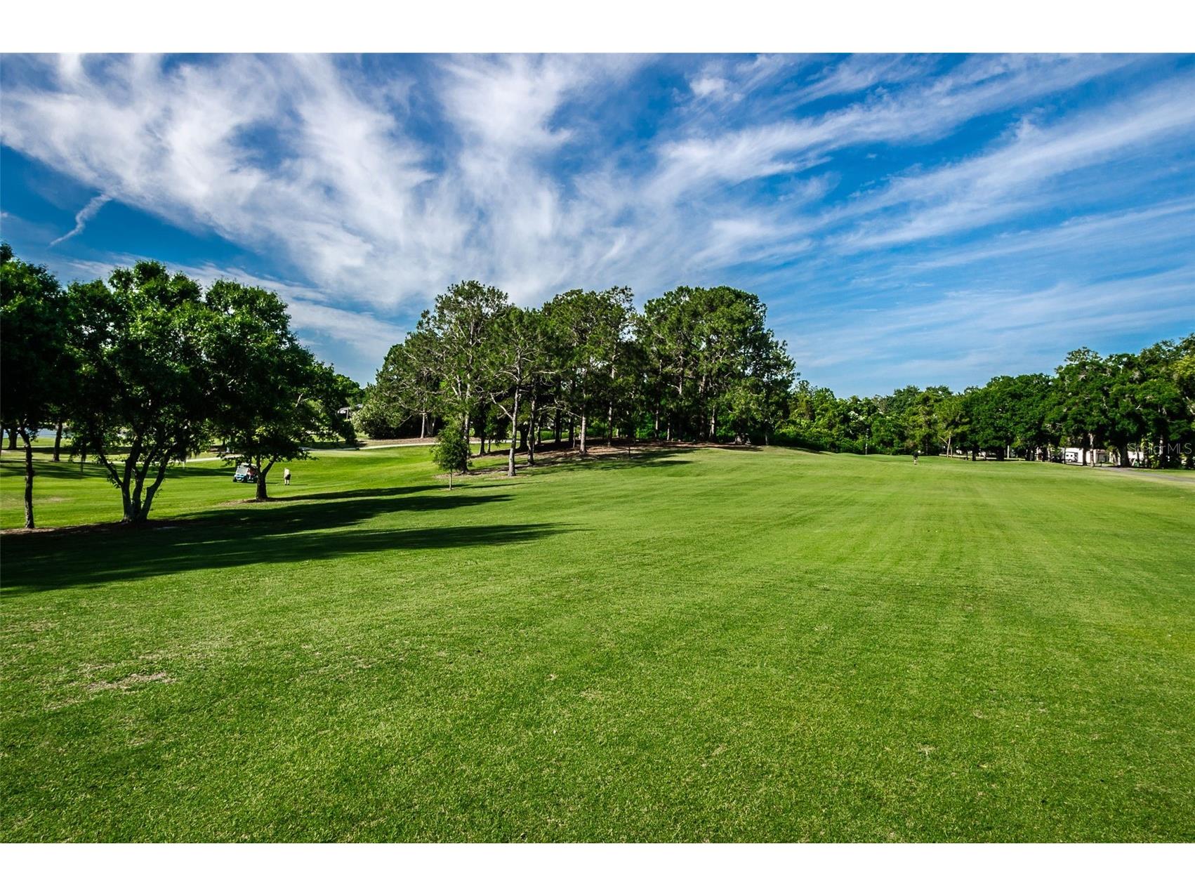 1700 Macdonnell Drive Palm Harbor FL 34684 TB8468857 image71