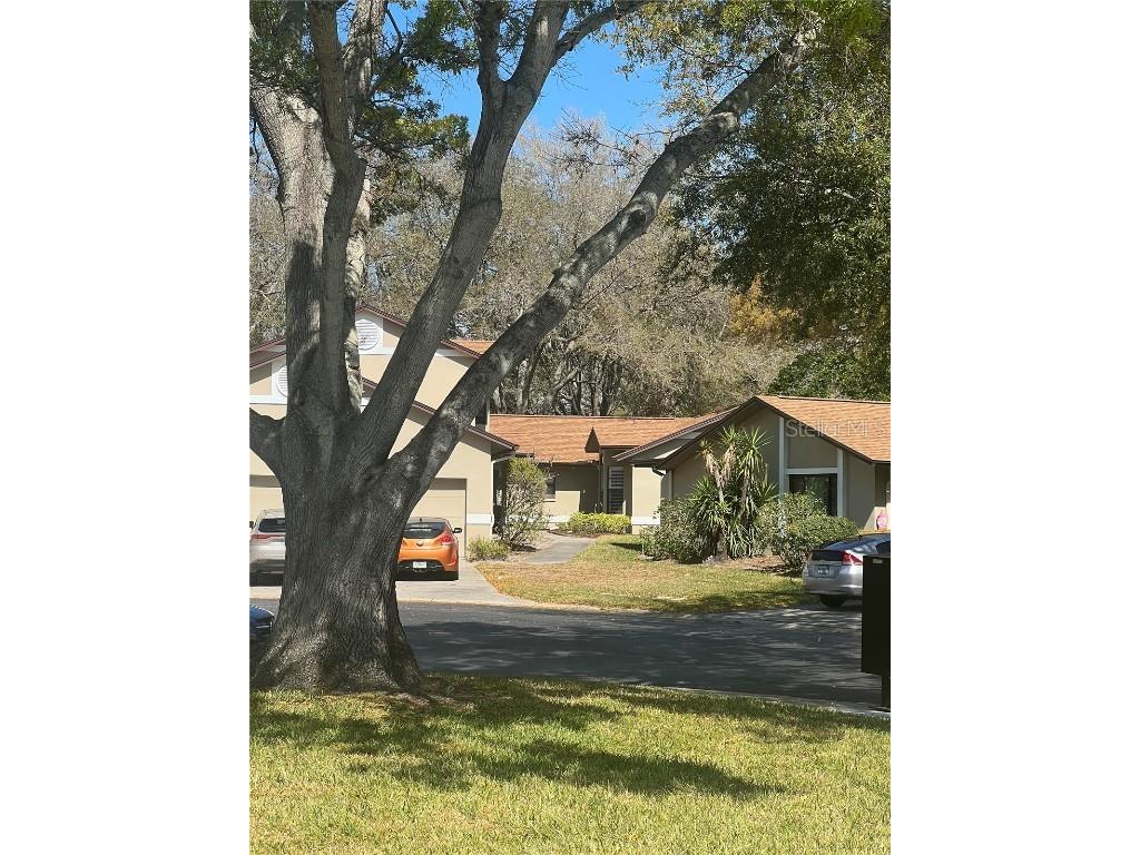 1700 Nash Court Dunedin FL 34698 T3504405 image1