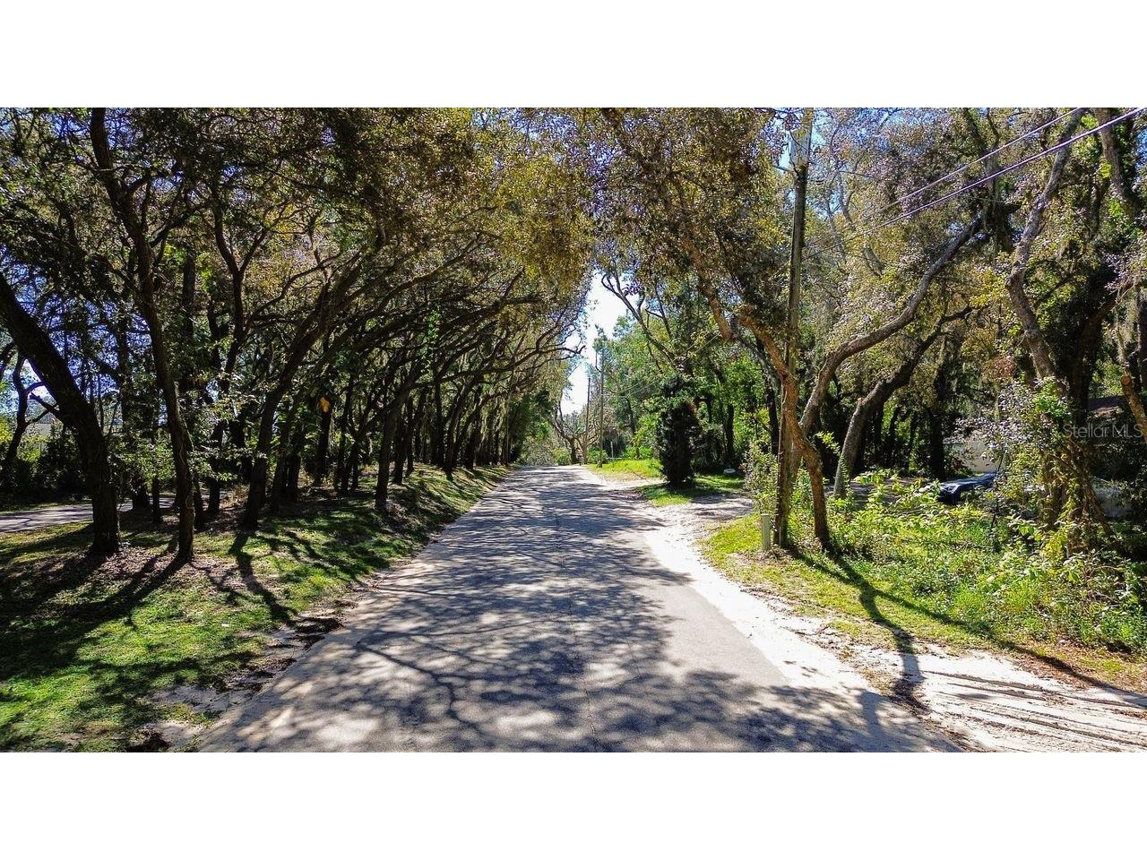 1700 Old Apopka Road Apopka FL 32703 O6355140 image11