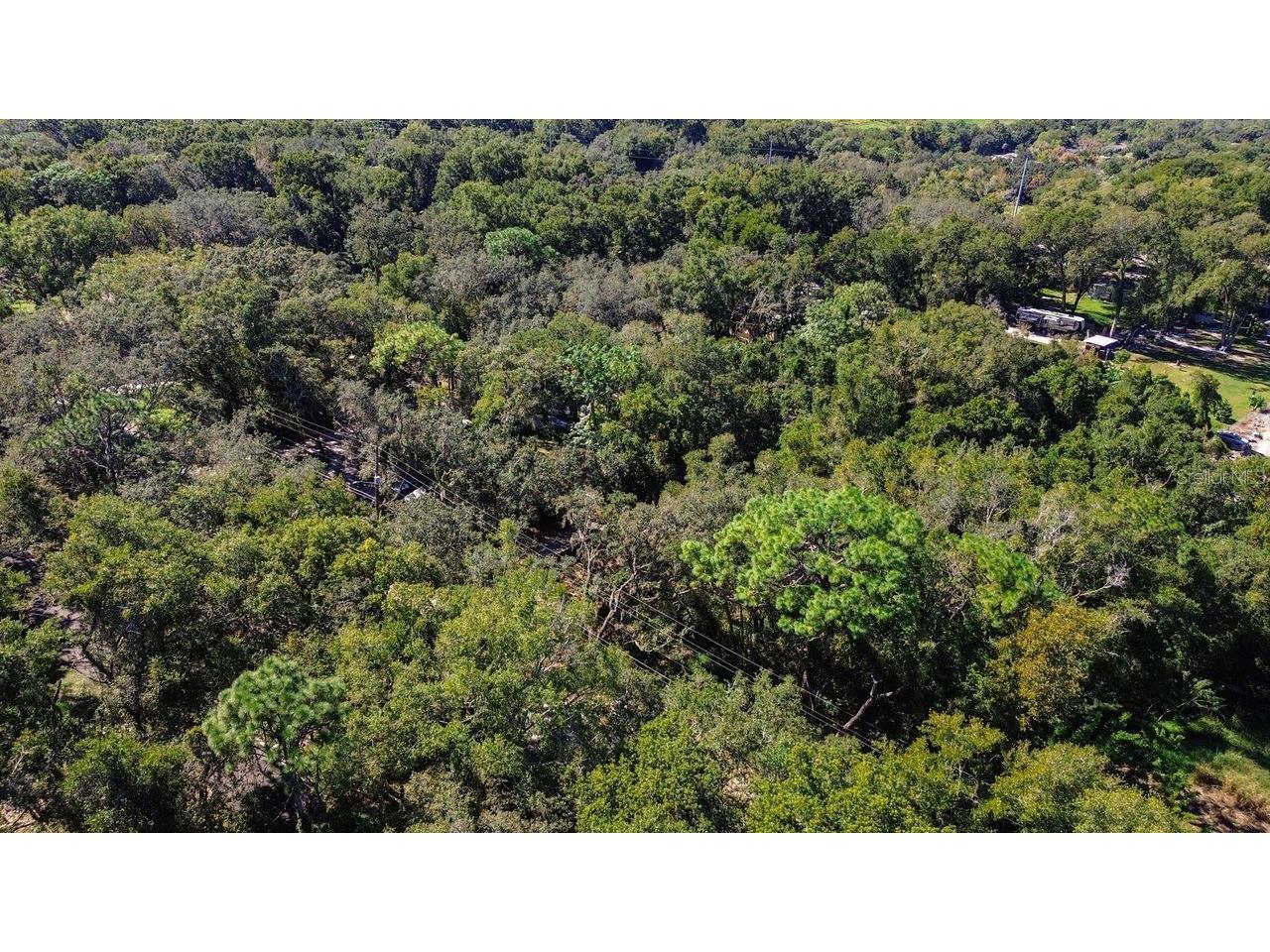 1700 Old Apopka Road Apopka FL 32703 O6355140 image17