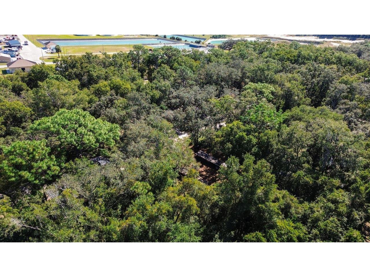 1700 Old Apopka Road Apopka FL 32703 O6355140 image18