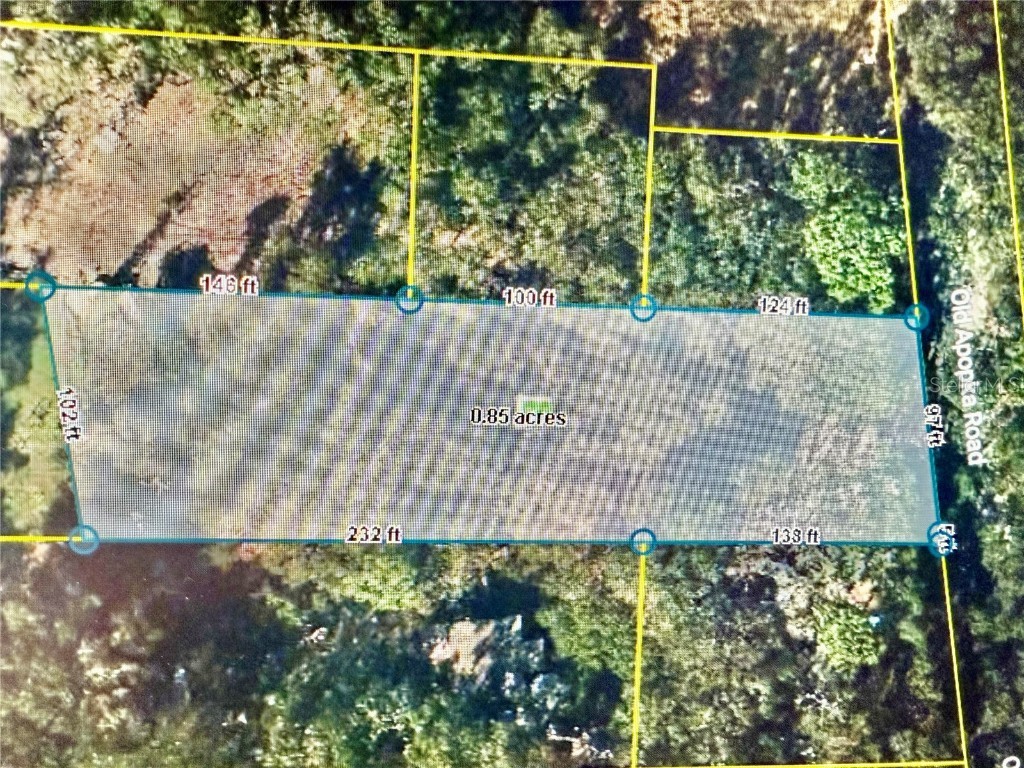 1700 Old Apopka Road Apopka FL 32703 O6355140 image6