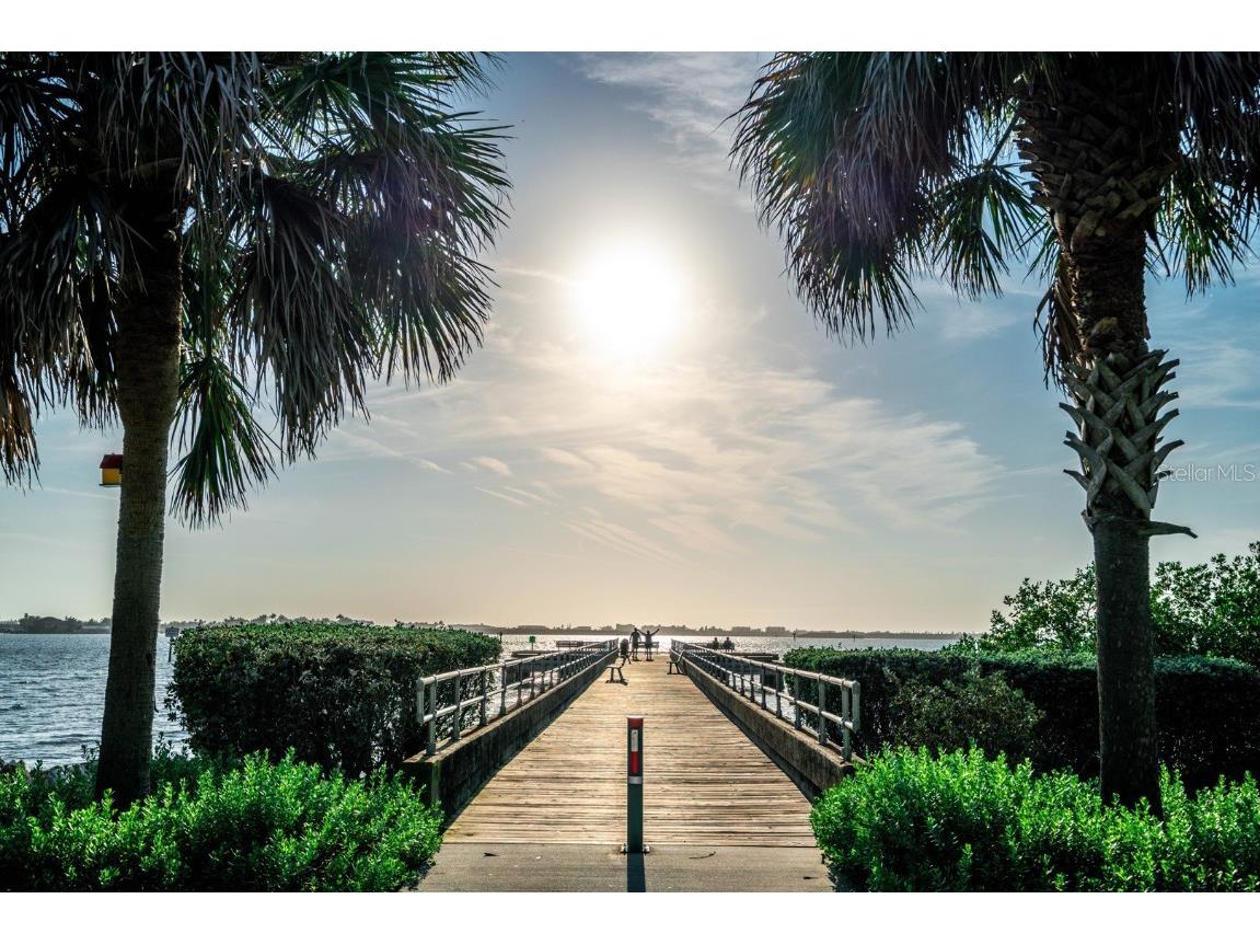 1700 Park Street N #105 Saint Petersburg FL 33710 U8199429 image1