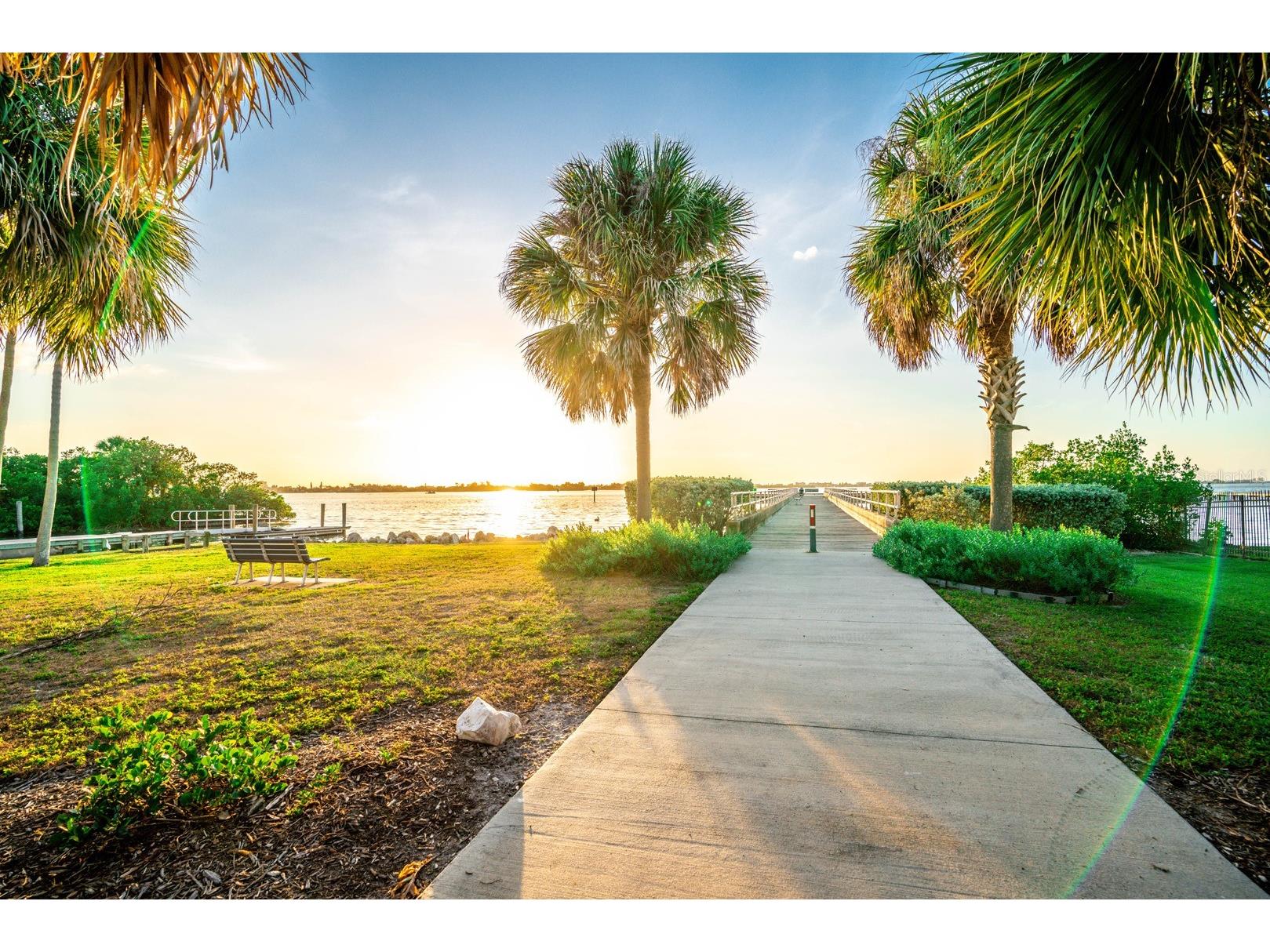 1700 Park Street N #106 Saint Petersburg FL 33710 TB8489546 image14