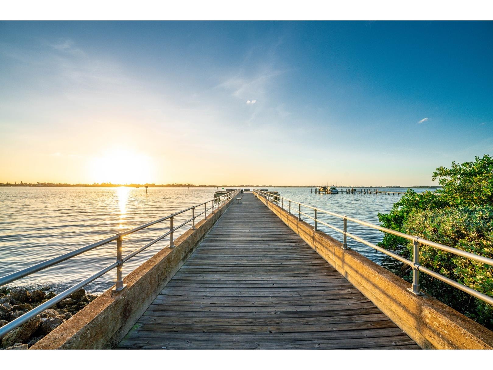1700 Park Street N #106 Saint Petersburg FL 33710 TB8489546 image2