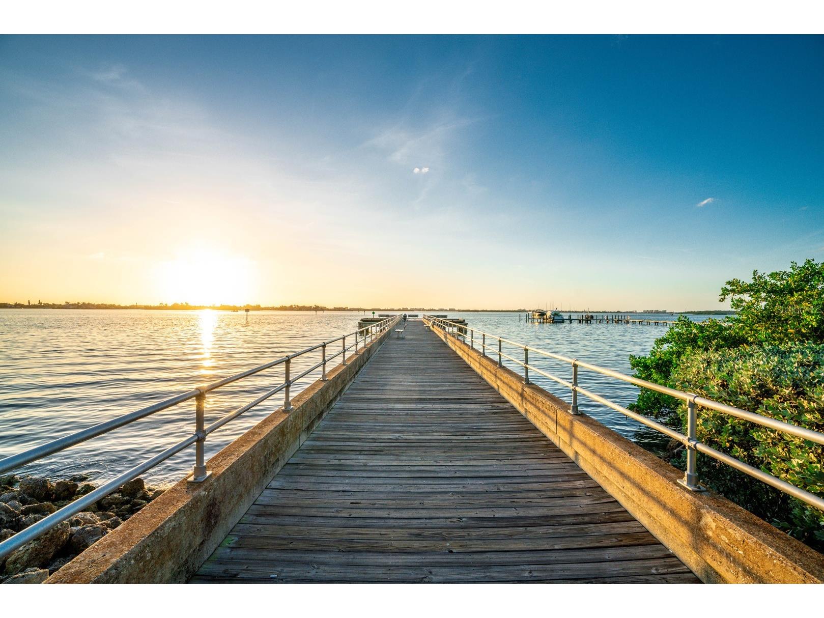 1700 Park Street N #24 Saint Petersburg FL 33710 TB8489573 image2