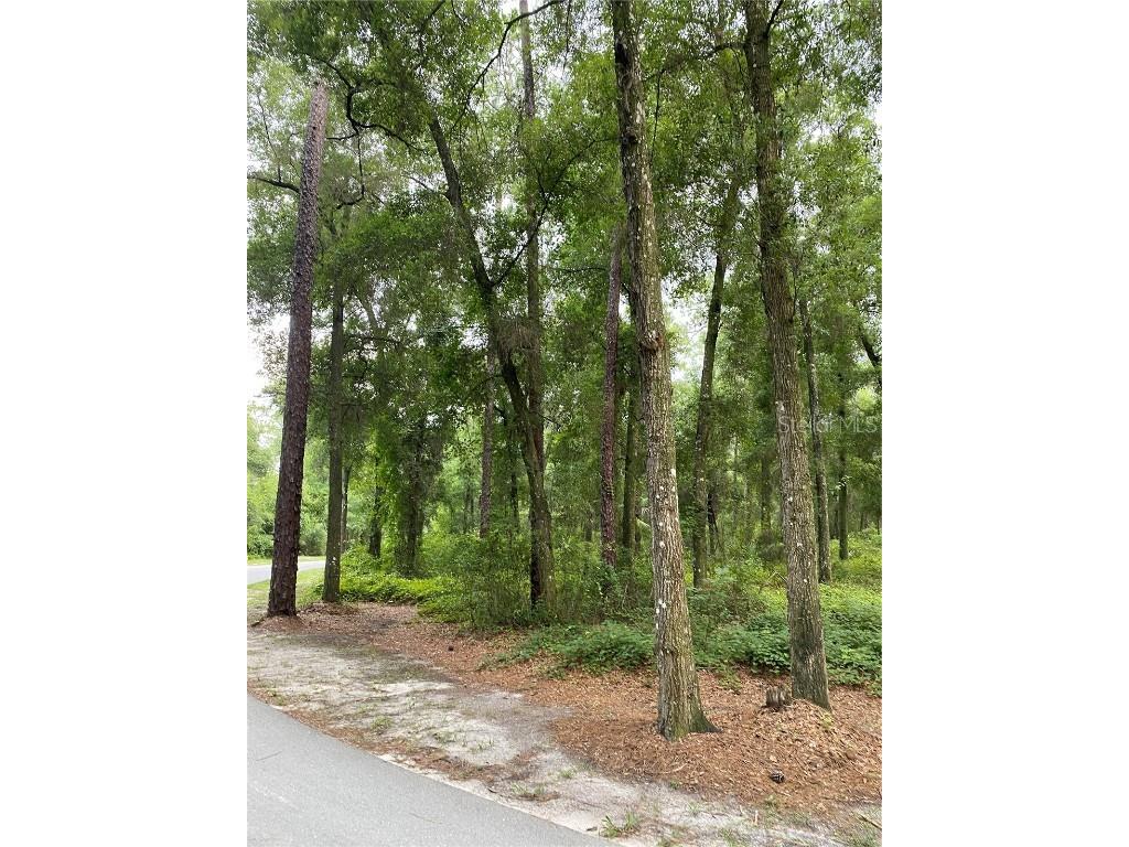 1700 Taylor Woods Road Deland FL 32724 V4937284 image1