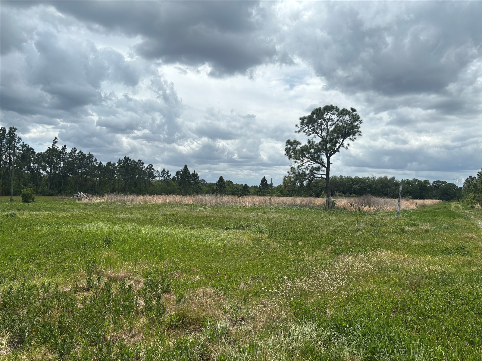 1700 W Frostproof Road Frostproof FL 33843 K4903440 image9