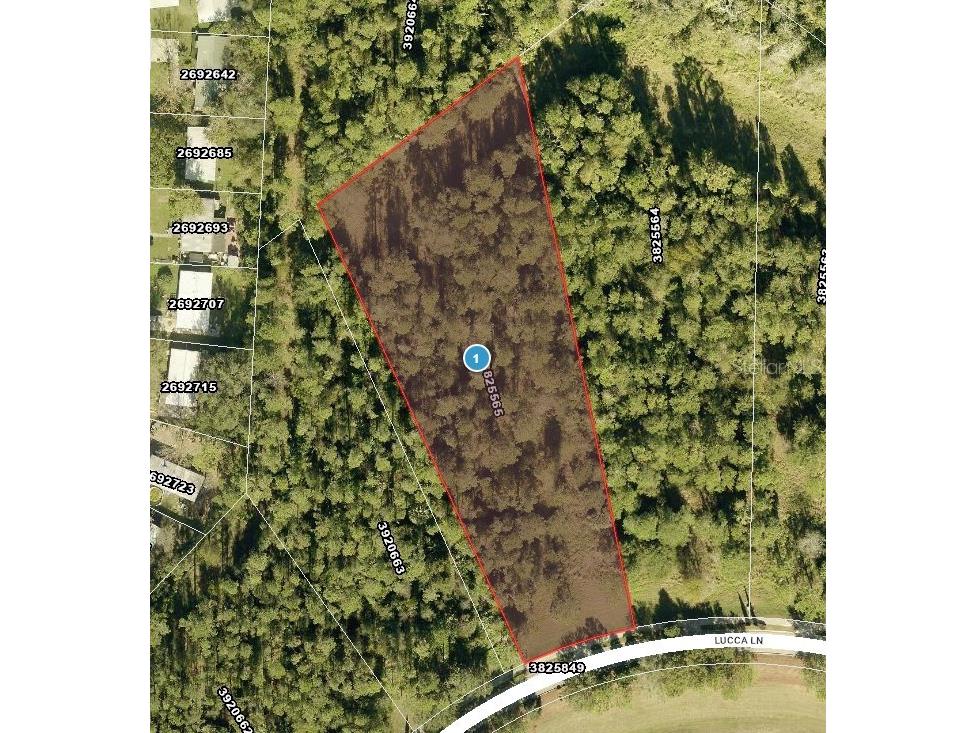17001 Lucca Lane Montverde FL 34756 - LAKE SIENA G5107696 image7