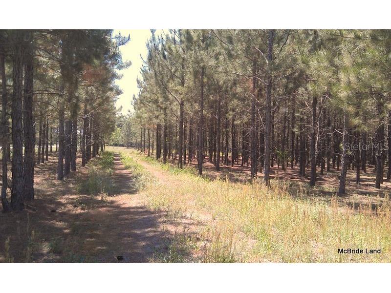 17001 SW Highway 484 Dunnellon FL 34432 OM647614 image10