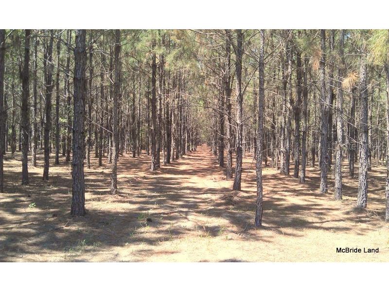 17001 SW Highway 484 Dunnellon FL 34432 OM647614 image11