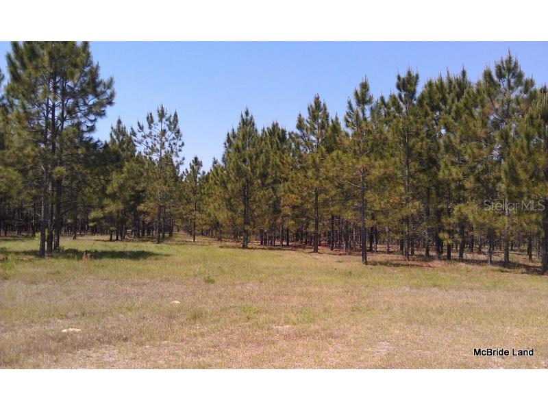 17001 SW Highway 484 Dunnellon FL 34432 OM647614 image12