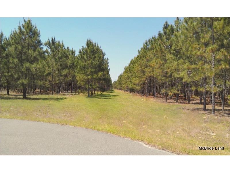 17001 SW Highway 484 Dunnellon FL 34432 OM647614 image13