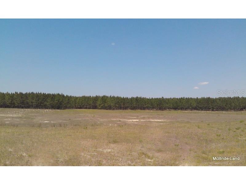 17001 SW Highway 484 Dunnellon FL 34432 OM647614 image14