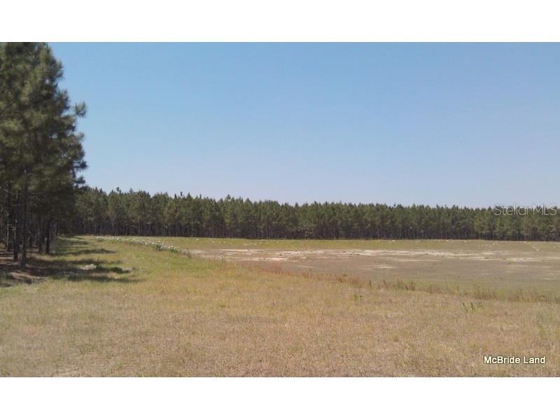 17001 SW Highway 484 Dunnellon FL 34432 OM647614 image15