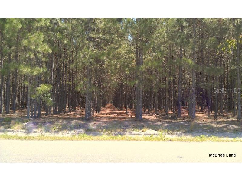 17001 SW Highway 484 Dunnellon FL 34432 OM647614 image16