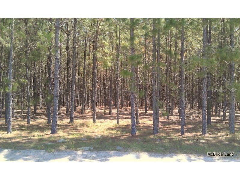 17001 SW Highway 484 Dunnellon FL 34432 OM647614 image17