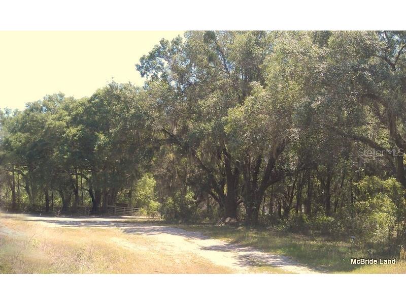 17001 SW Highway 484 Dunnellon FL 34432 OM647614 image18