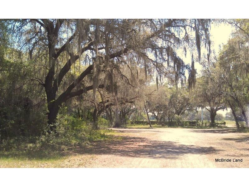 17001 SW Highway 484 Dunnellon FL 34432 OM647614 image19