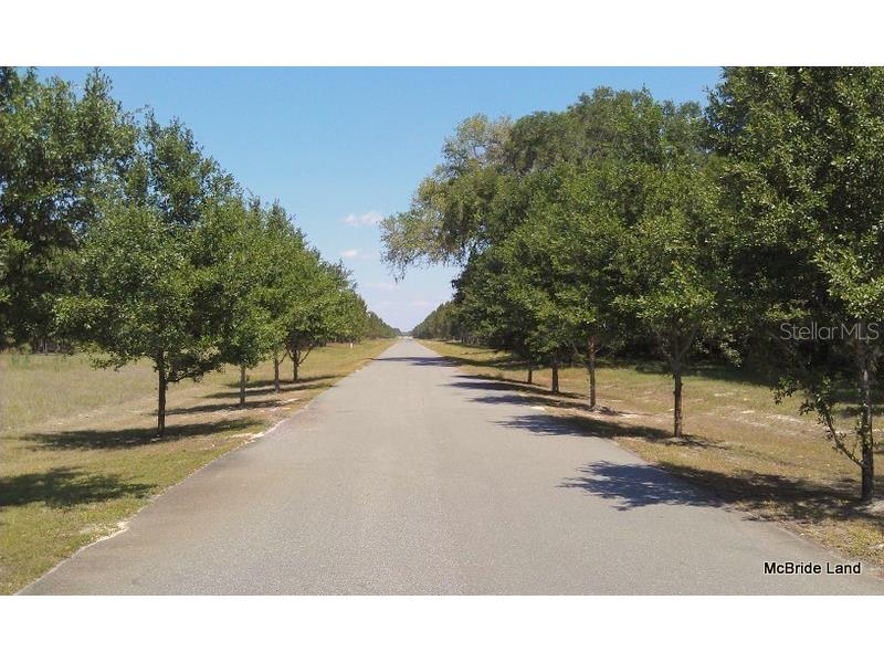 17001 SW Highway 484 Dunnellon FL 34432 OM647614 image2