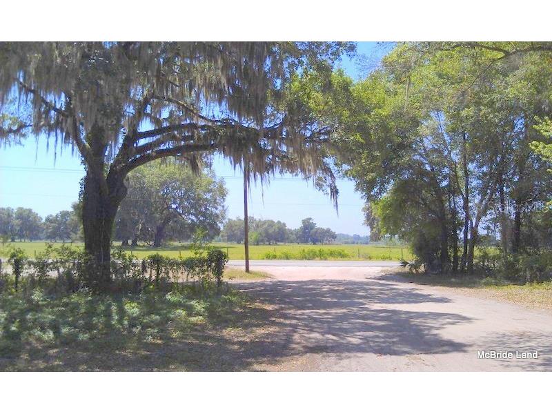 17001 SW Highway 484 Dunnellon FL 34432 OM647614 image20