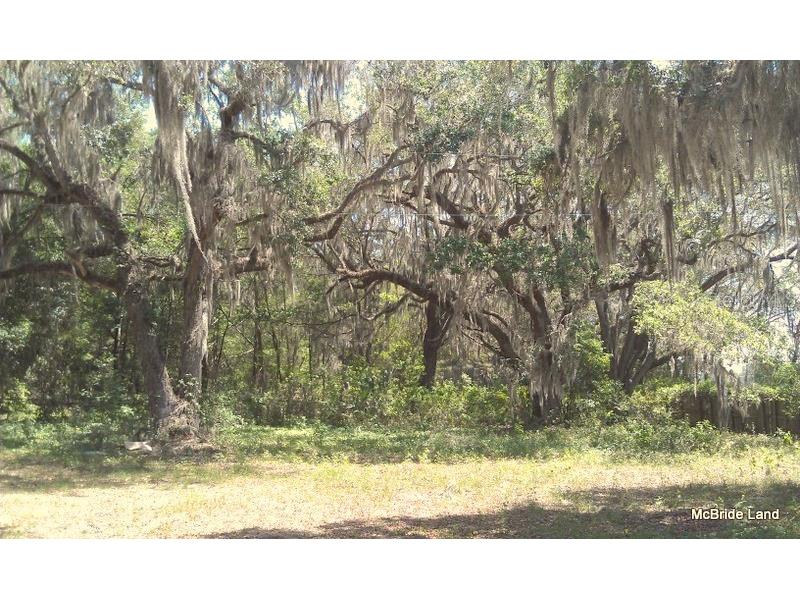 17001 SW Highway 484 Dunnellon FL 34432 OM647614 image23