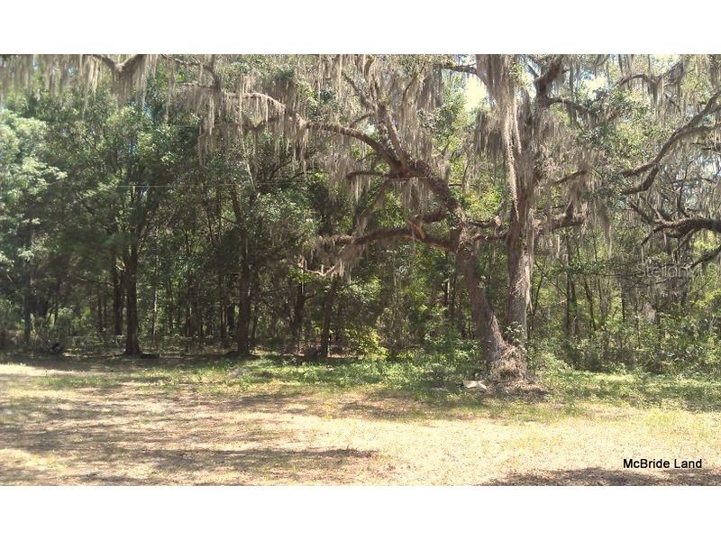 17001 SW Highway 484 Dunnellon FL 34432 OM647614 image24