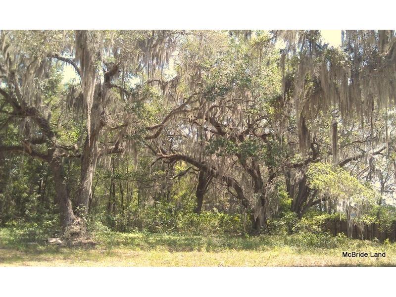 17001 SW Highway 484 Dunnellon FL 34432 OM647614 image25