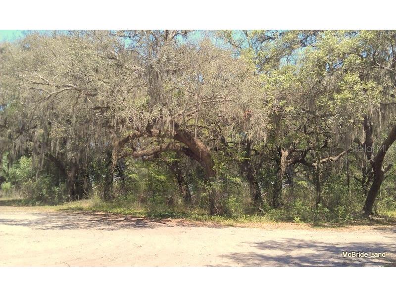 17001 SW Highway 484 Dunnellon FL 34432 OM647614 image26