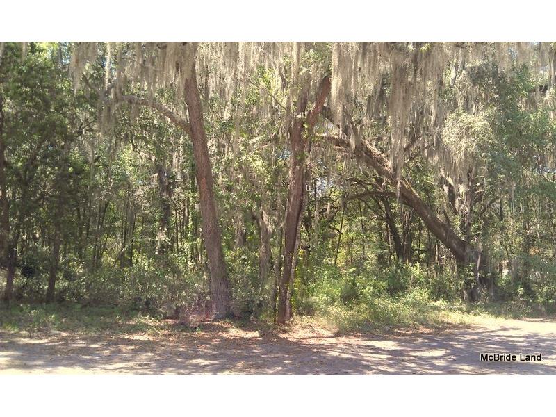 17001 SW Highway 484 Dunnellon FL 34432 OM647614 image27