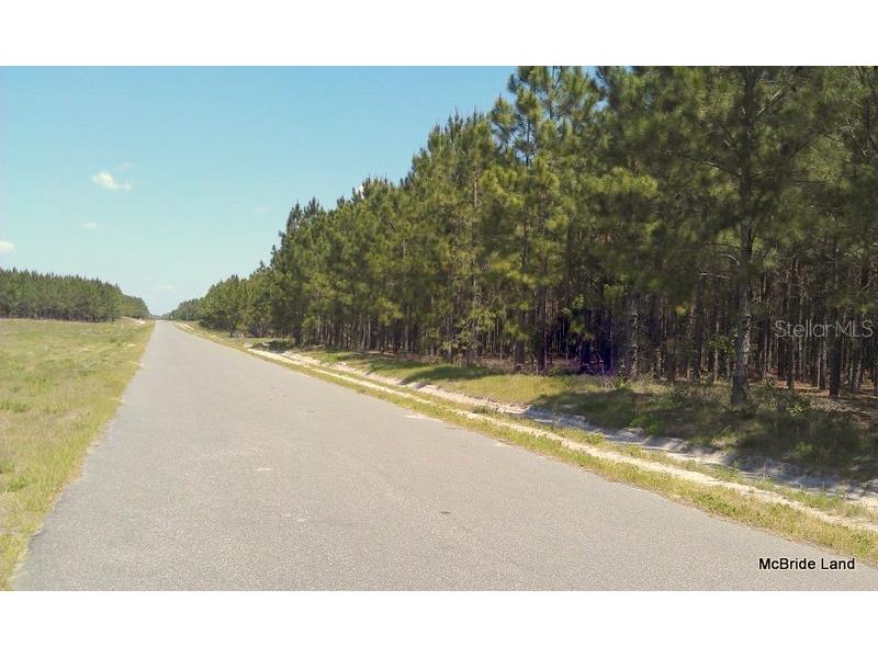 17001 SW Highway 484 Dunnellon FL 34432 OM647614 image3