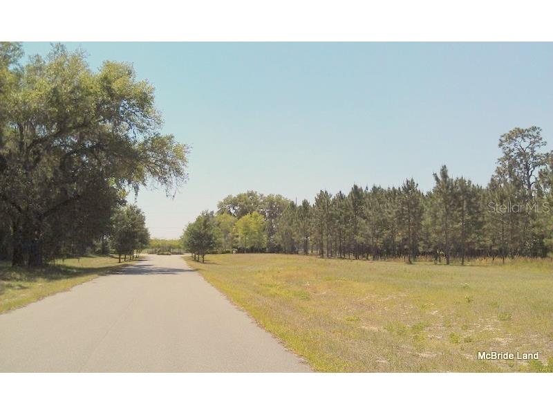 17001 SW Highway 484 Dunnellon FL 34432 OM647614 image34