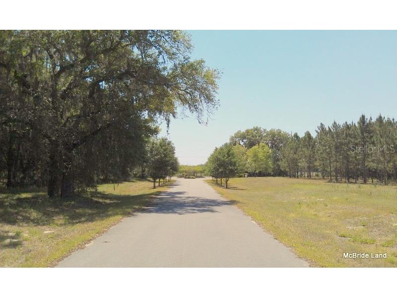 17001 SW Highway 484 Dunnellon FL 34432 OM647614 image35